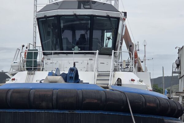 wicked_tints_vehicle_boat_window_tinting_services_gisborne